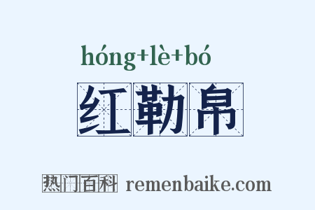 红勒帛是什么意思的图片